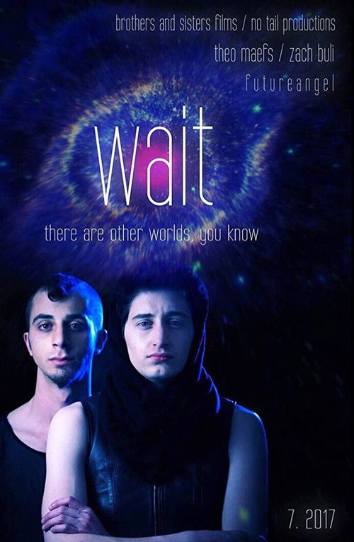 Wait (2017) poster