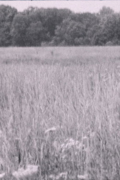 It's About Time (2019) poster