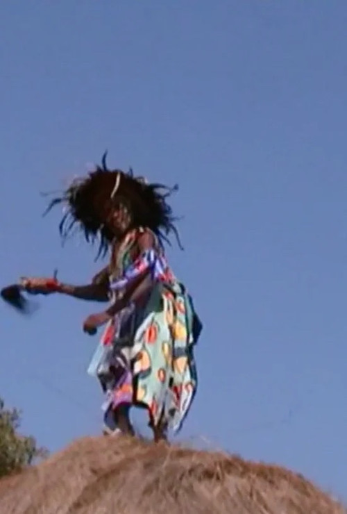 Kurze Schatten (2013) poster