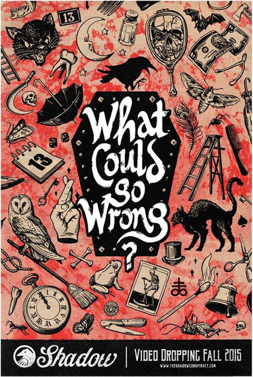 What Could Go Wrong? (2016) poster