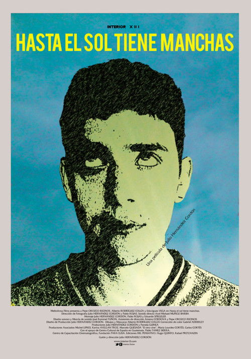 Even the Sun Has Spots (2013) poster