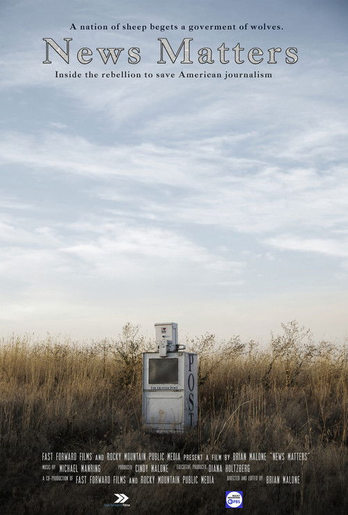 News Matters (2020) poster