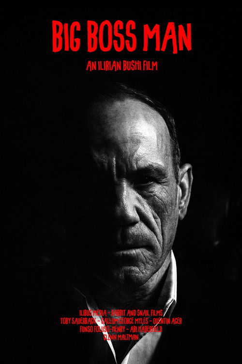 BIG BOSS MAN (2025) poster