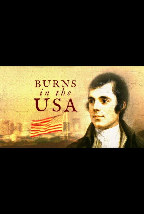 Burns in the USA (2017) poster