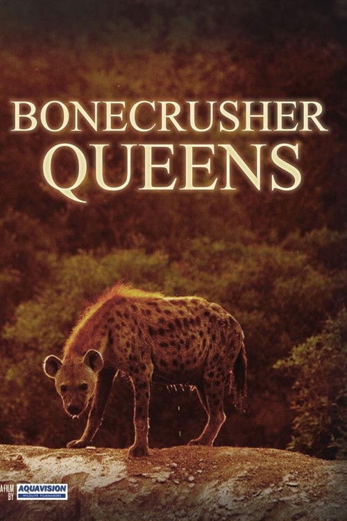 Bonecrusher Queens (2008) poster