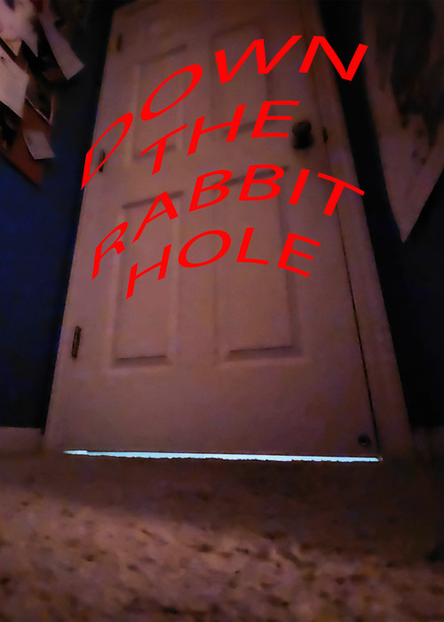 Down the Rabbit Hole (2023) poster