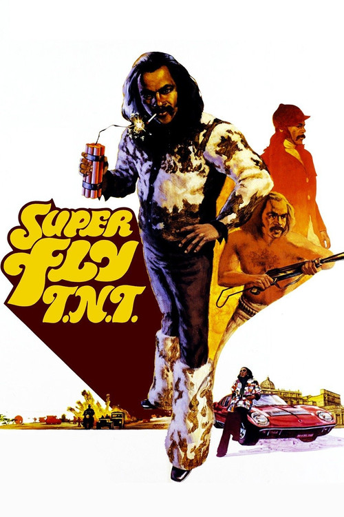 Super Fly T.N.T. (1973) poster