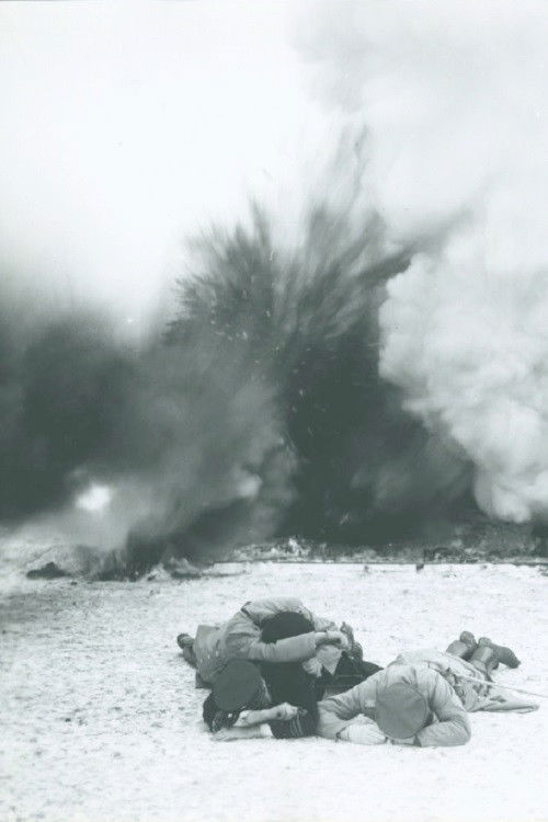 In Defense of the Nation (1915) poster