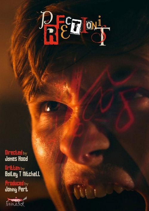 Perfectionist (2020) poster