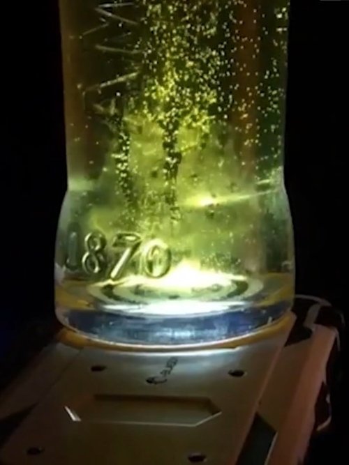 Enjoy the Ride (2020) poster