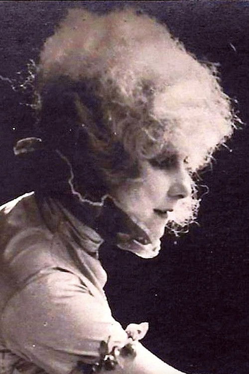 Lo scaldino (1920) poster