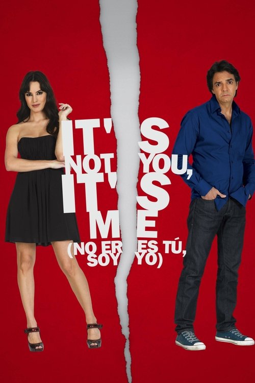 It's Not You, It's Me (2010) poster