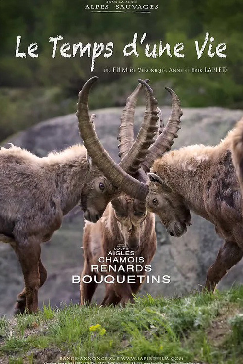 The Time of a Life (2020) poster