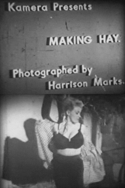 Making Hay (1960) poster