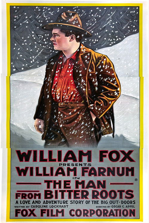 The Man from Bitter Roots (1916) poster