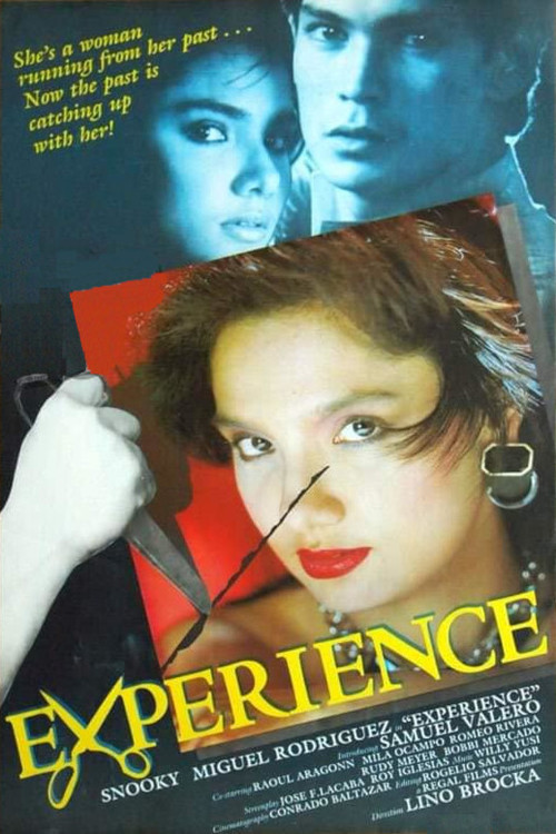 Experience (1984) poster