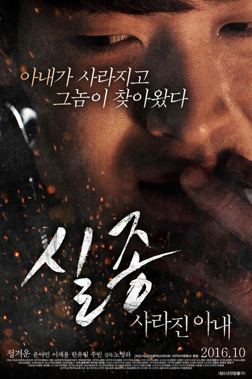 실종: 사라진 아내 (2016) poster