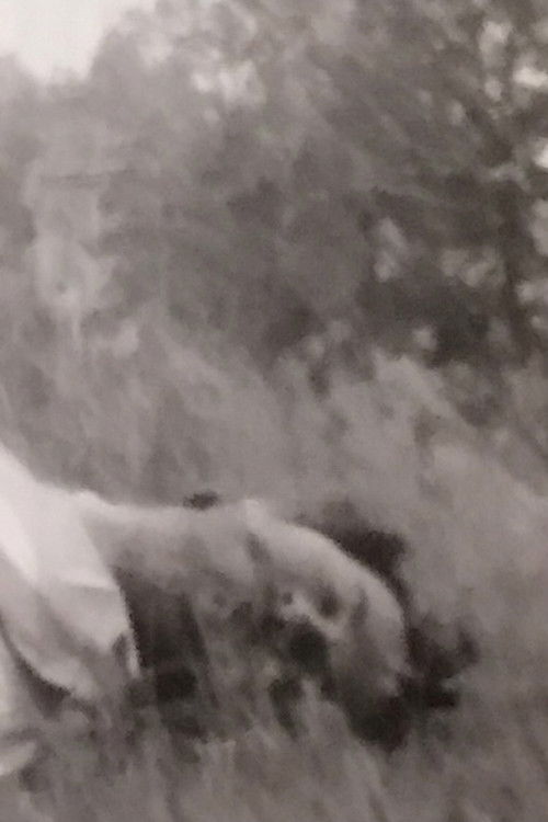 Anviti. Un Fatto Di Sangue (1972) poster