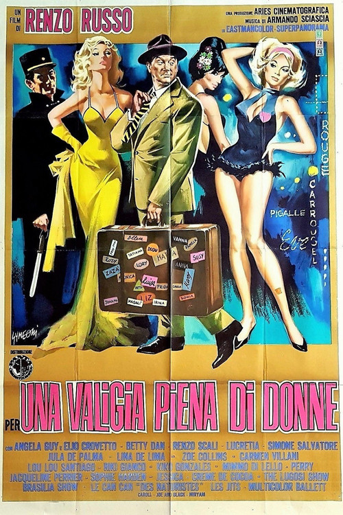Per una valigia piena di donne (1964) poster