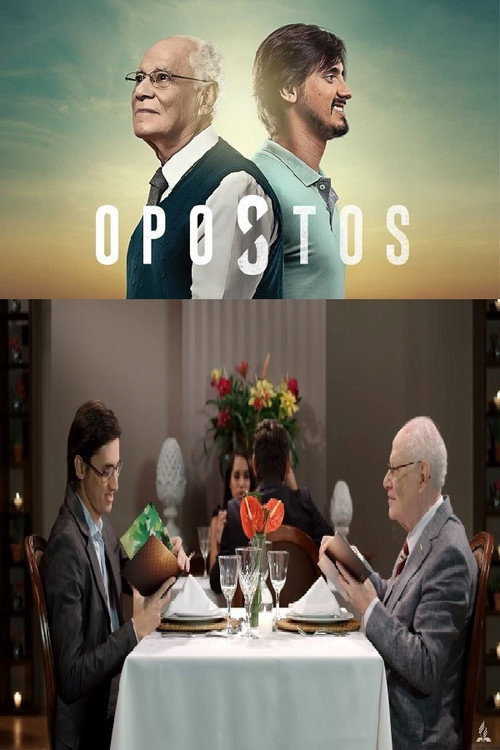 Opostos (2017) poster