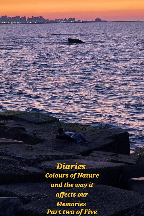 Diaries: Colours of Nature and the Way It Affects Our Memories. (2026) poster