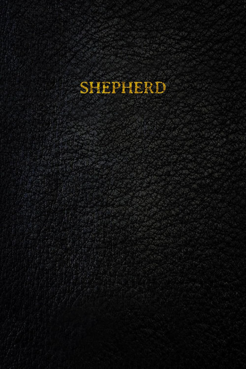 Shepherd (2023) poster