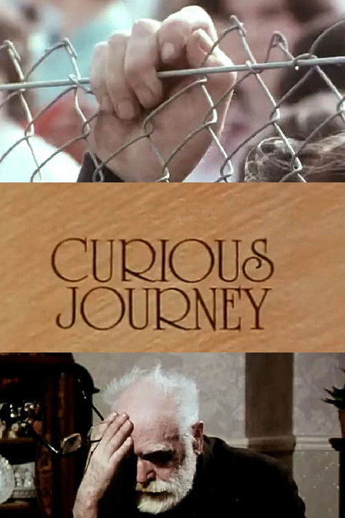 Curious Journey (1978) poster