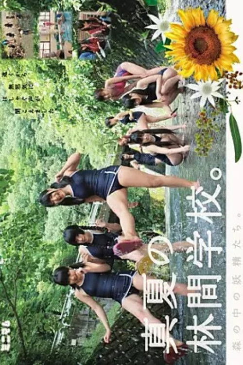 MUM-125 Fairies In The Forest.Open-air School Of Midsummer. (2014) poster