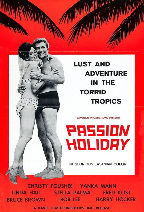 Passion Holiday (1963) poster