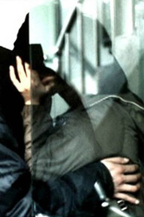 생산적 활동 (2003) poster