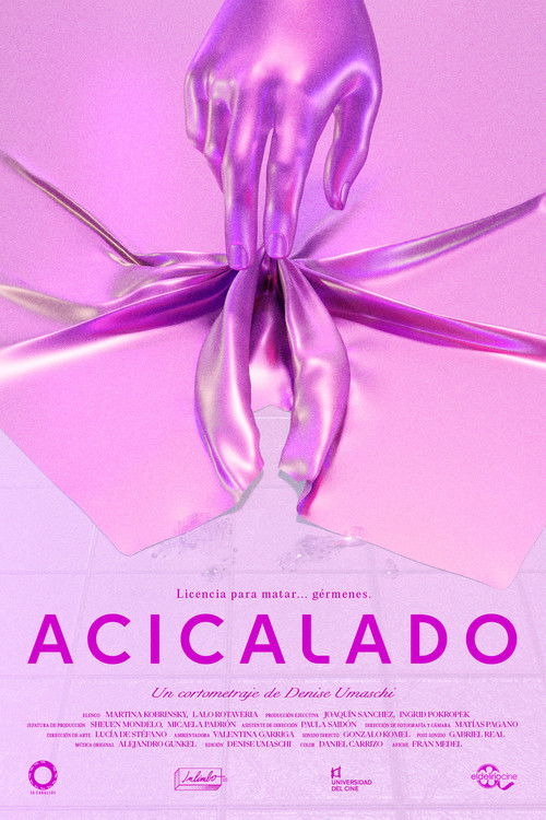 Acicalado (2024) poster