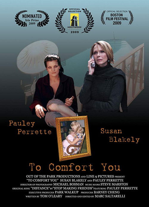 To Comfort You (2009) poster