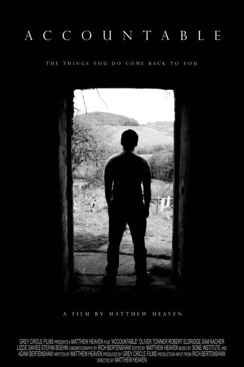 Accountable (2017) poster