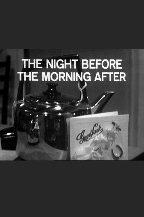 The Night Before The Morning After (1966) poster