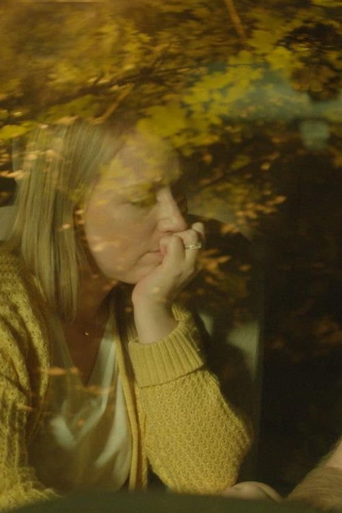 Shaken (2023) poster