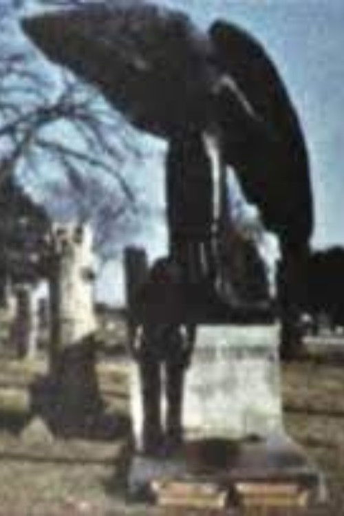 Black Angel (1975) poster