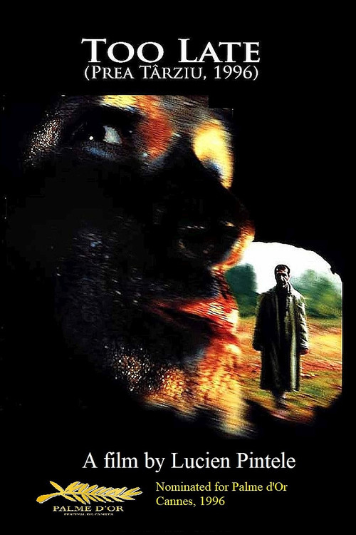 Prea târziu (1996) poster