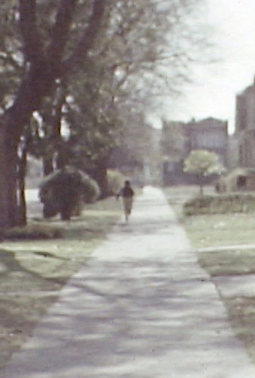 Flight Logs (2019) poster