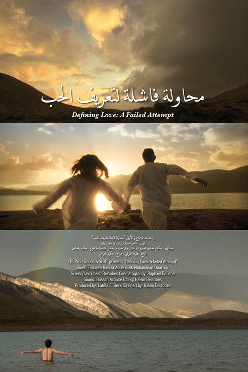 Defining Love: A Failed Attempt (2012) poster