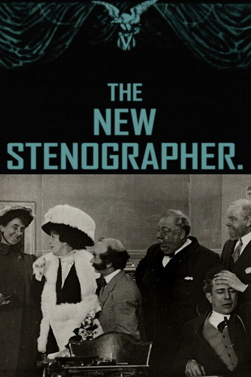 The New Stenographer (1911) poster