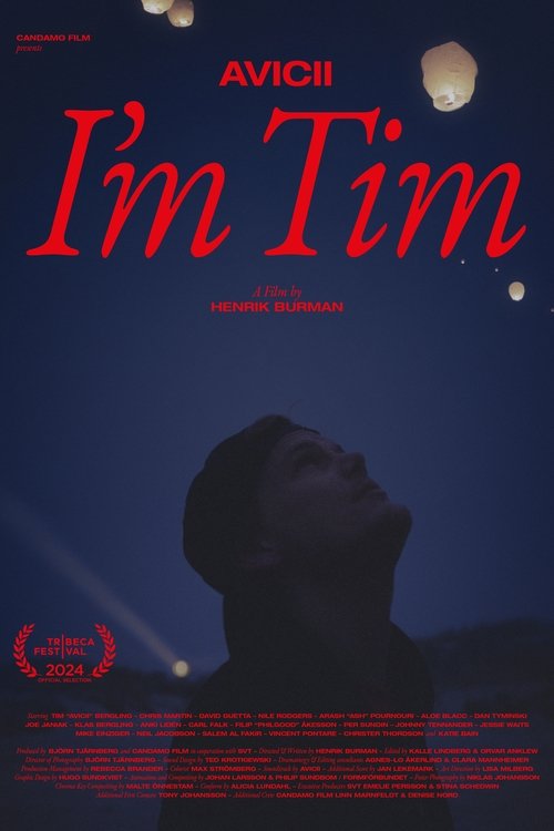 Avicii - Ben Tim (2024) poster
