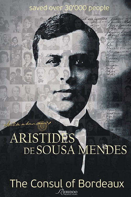 O Cônsul de Bordéus (2012) poster