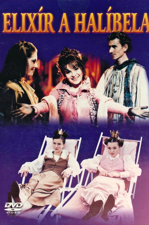 Elixír a Halíbela (2001) poster