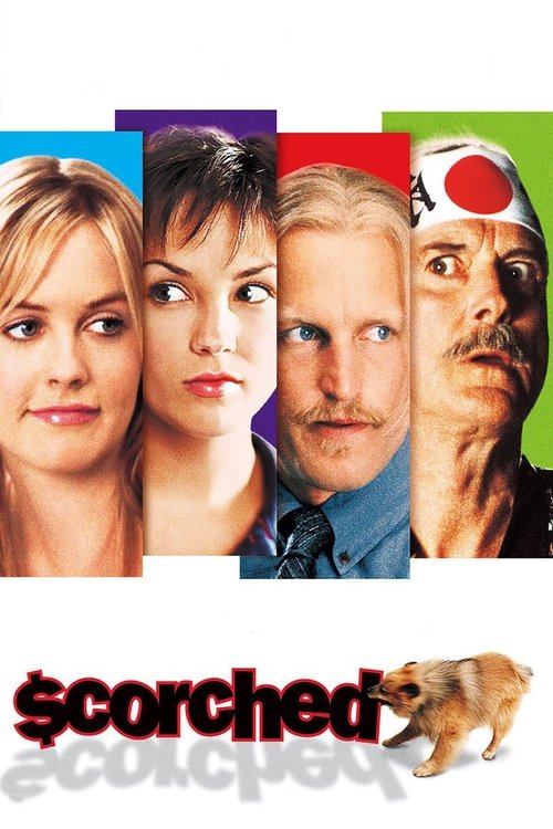 Üşütükler (2003) poster