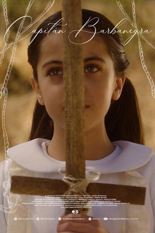Capitán Barbanegra (2020) poster