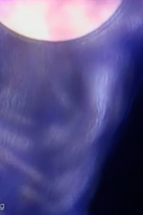 In the blink of an eye...(amphibian dreams)..."If I could fly I would fly" (1987) poster