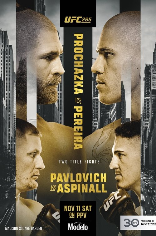 UFC 295: Prochazka vs. Pereira (2023) poster
