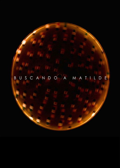 Looking for Matilde (2013) poster