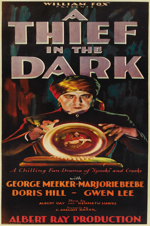 A Thief in the Dark (1928) poster