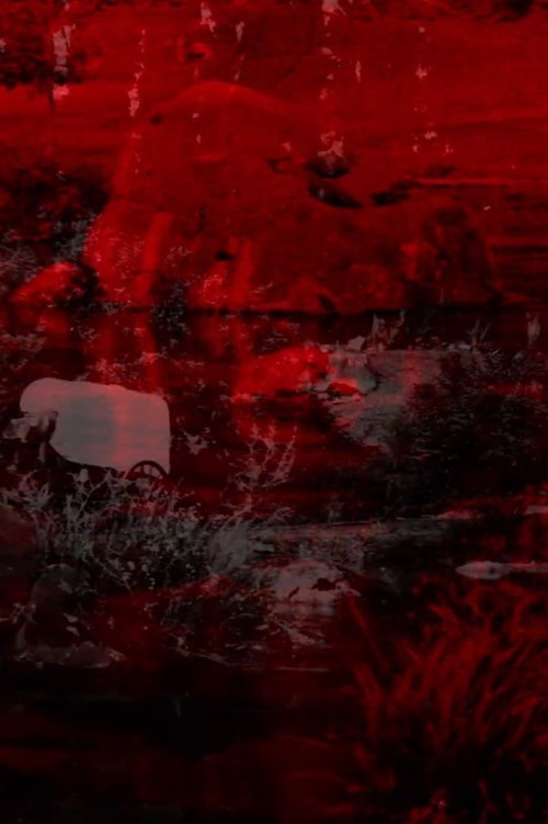 Reverse Shadow (2019) poster